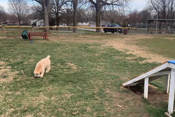 Brent Leh Dog Park photo 1